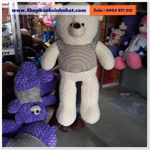 Gấu Bông Teddy Hàn Quốc - GAU13